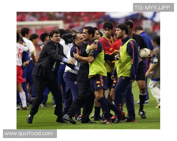 2008年欧洲杯经典对决西班牙与意大利的巅峰较量回顾 2008年欧洲杯经典对决西班牙与意大利的巅峰较量回顾