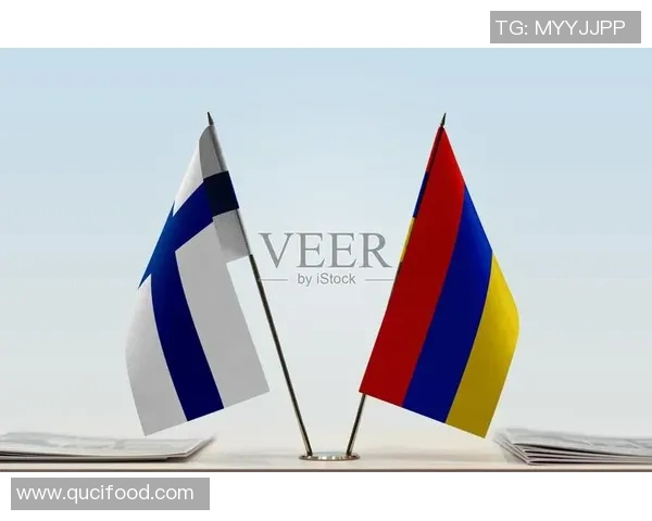 亚美尼亚与芬兰对决的深层意义与影响分析