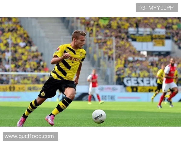 荷乙精英迎战特尔斯达争夺赛季关键三分的激烈对决 荷乙精英迎战特尔斯达争夺赛季关键三分的激烈对决