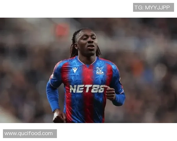 阿森纳队新赛季目标明确 引援策略与年轻球员培养并重 阿森纳队新赛季目标明确 引援策略与年轻球员培养并重