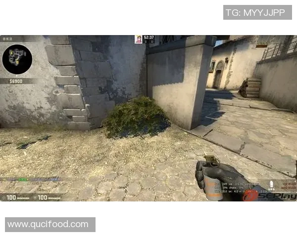 JDG在CSGO比赛中的盯防策略分析与得失总结 JDG在CSGO比赛中的盯防策略分析与得失总结