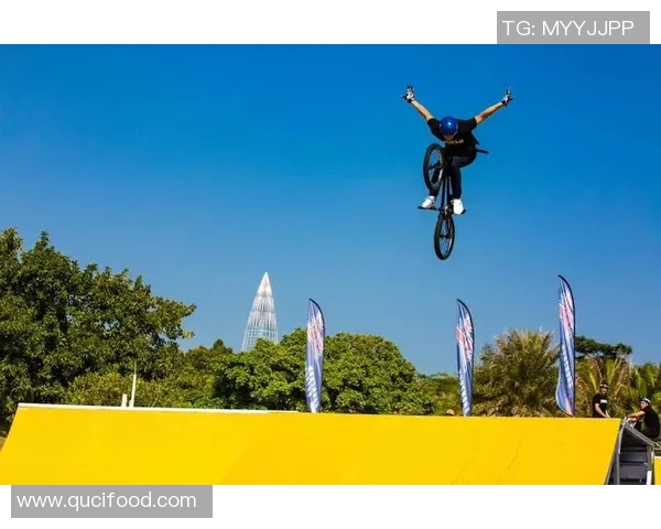 深圳极限运动队的奋斗历程与嘉年华精彩瞬间全景回顾