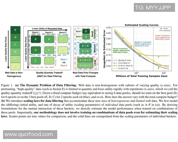 成都极限运动队耐力表现数据分析与训练策略探讨