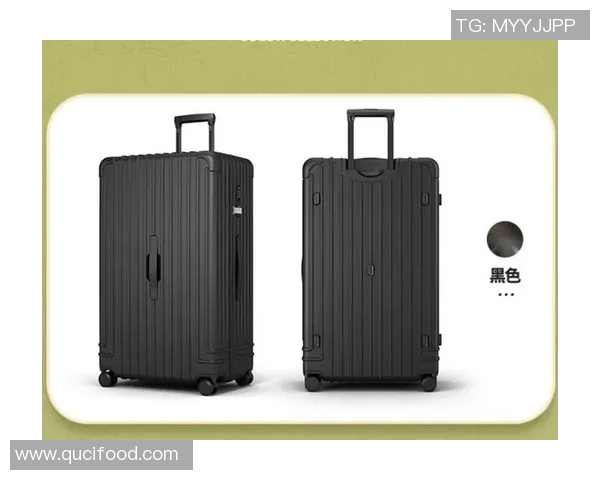 探索箱包设计的创新与未来趋势，打造功能与时尚兼备的旅行伴侣