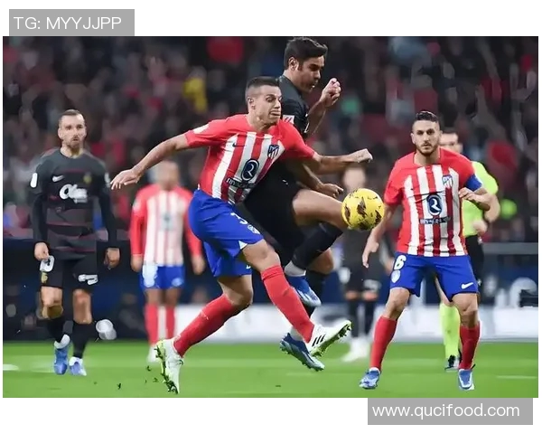 西甲联赛与意甲联赛的比赛风格对比