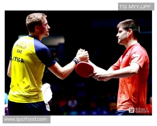 成都乒乓球队区域防守策略深度解析与实战应用探讨